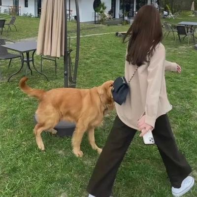 隔壁怪兽